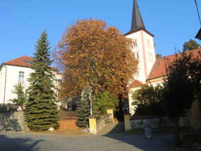 Škola v přírodě a školní jídelna Čestice