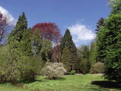 Arboretum Bílá Lhota