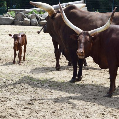 ZOO PARK Vyškov