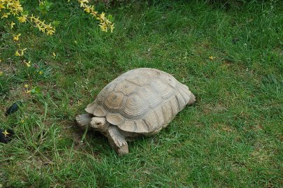 Zoopark Čarodějnický dvůr