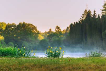 Arboretum Křtiny