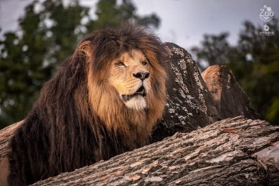 ZOO Na Hrádečku